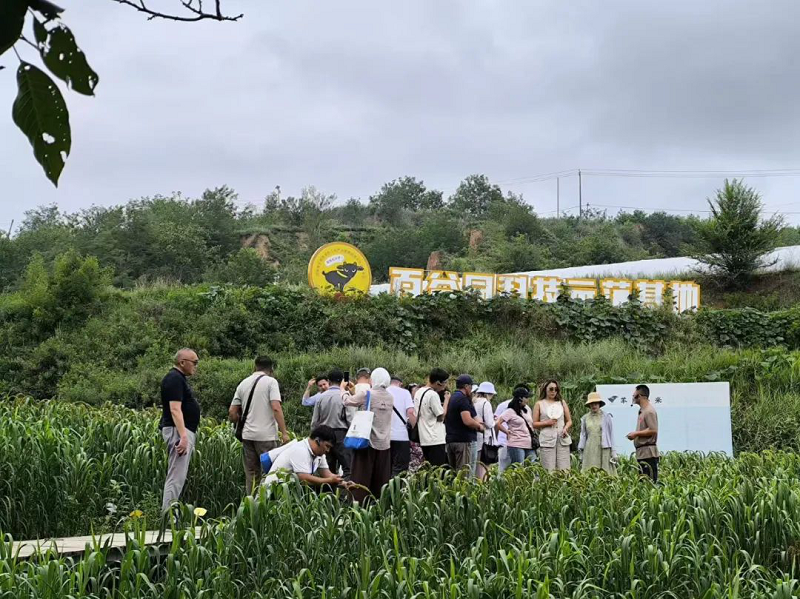 吉尔吉斯斯坦减贫能力建设研修班在京举办1-800.png