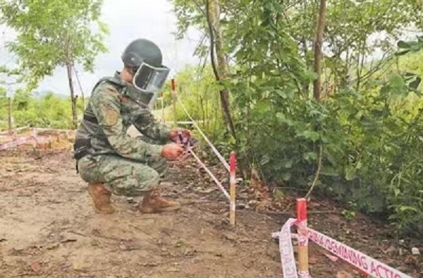 中国援助柬埔寨扫雷项目受益人数逾260万2.jpg
