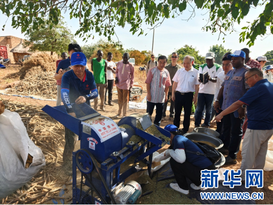 援布基纳法索小米种植示范技术援助二期项目取得显著成果.png