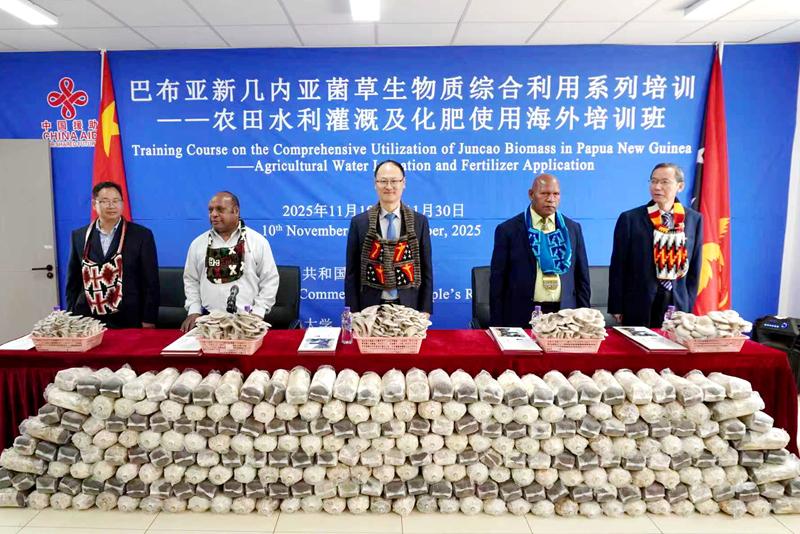 巴布亚新几内亚菌草生物质综合利用系列培训农田水利灌溉及化肥使用海外培训班结业.jpg