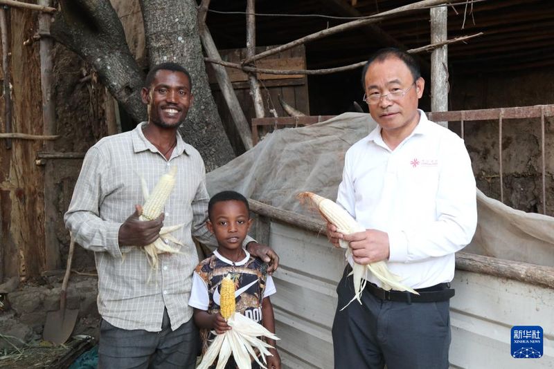 中埃塞农业减贫合作项目造福埃塞小村4.jpg
