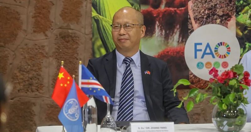 中国-联合国粮农组织-佛得角南南合作项目举行成果分享会1.jpg